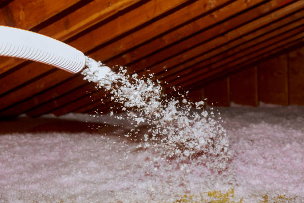 Best Insulation Installation Services in Hoxie, AR