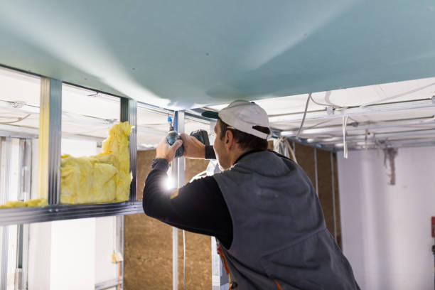 Best Residential Insulation in Hoxie, AR