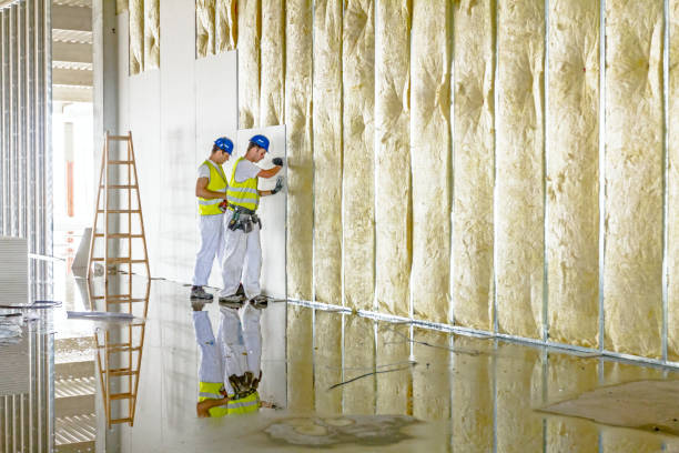 Best Insulation for Specific Applications in Hoxie, AR